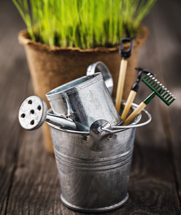 Modern Landscape Architecture